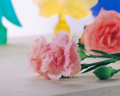 Tapeta Nature Flowers 177.jpg